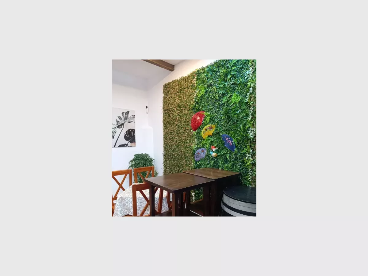 Show captura de pantalla 2026 02 08 165353