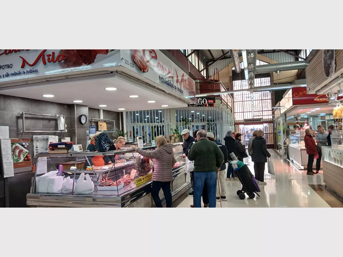 Show img 20260302 wa0006