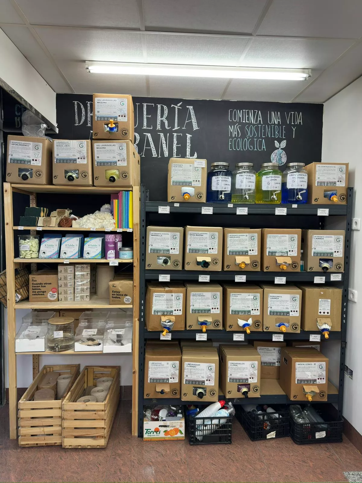 Whatsapp image 2025 10 08 at 12.30.25 pm  4 